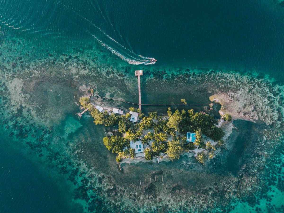 Coral Caye by Francis Ford Coppola